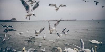 Surprise destination